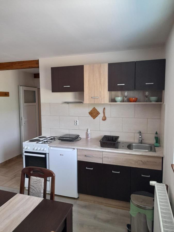 Apartmani Petar Mokra Gora Exterior foto