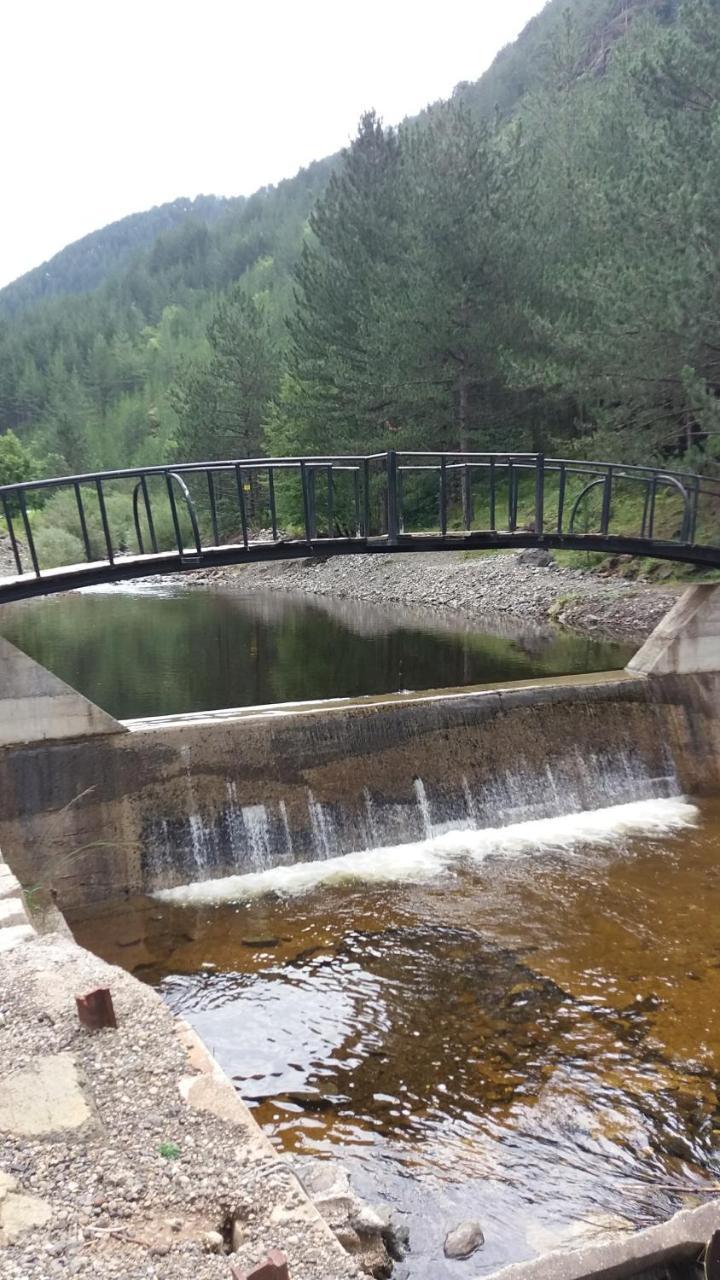 Apartmani Petar Mokra Gora Exterior foto
